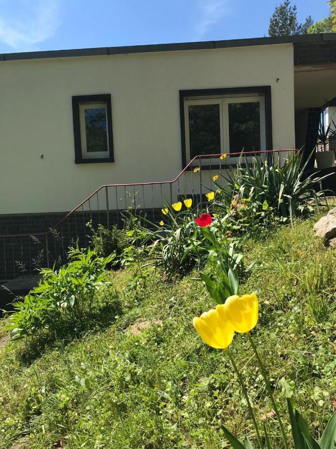 Ferienhaus Am Wald Wendehausen Esterno foto